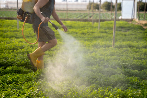 Best Best Pest Control Companies  in Ord, NE