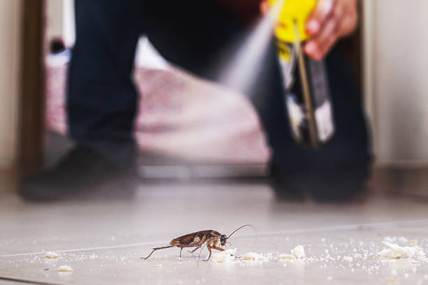 Best Commercial Pest Control Services  in Ord, NE