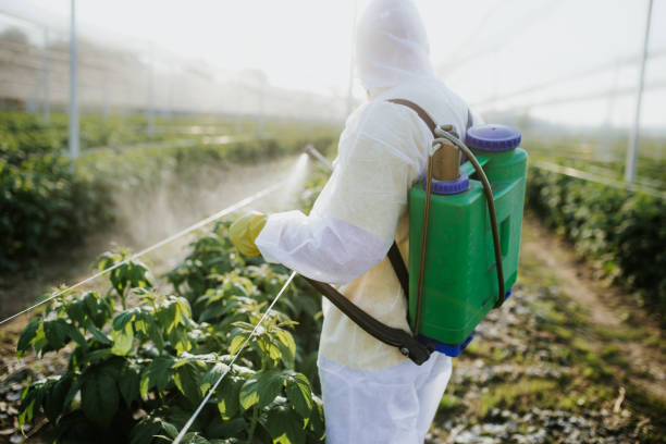 Best Cockroach Control Services  in Ord, NE